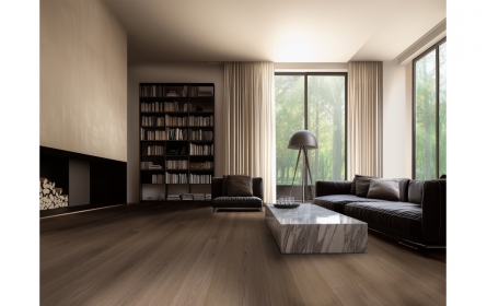 室內設計示意(圖)