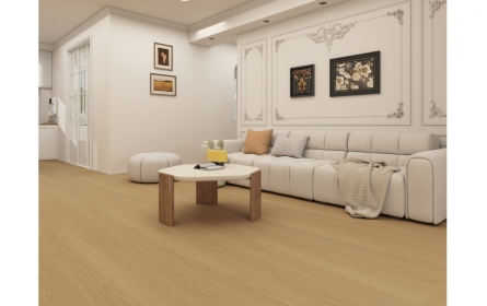 室內設計示意(圖)