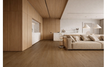 室內設計示意(圖)