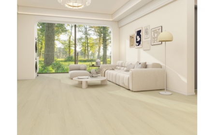 室內設計示意(圖)