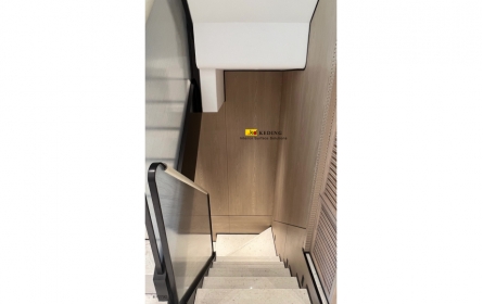 P279D (4)