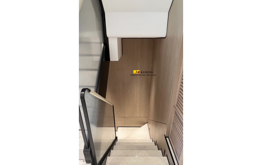 P279D (4)