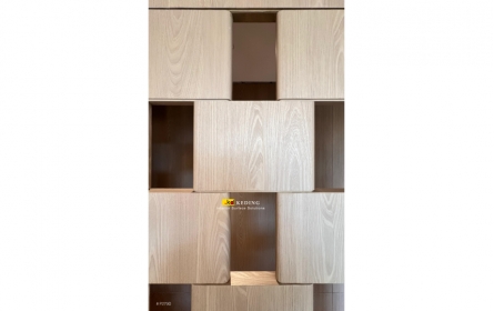 P279D (2)