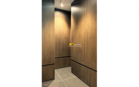 P181A (3)