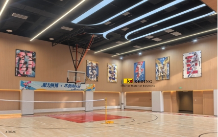 綠城玉百合會所籃球場(圖)