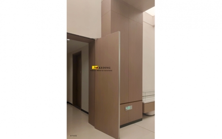 P181B (5)