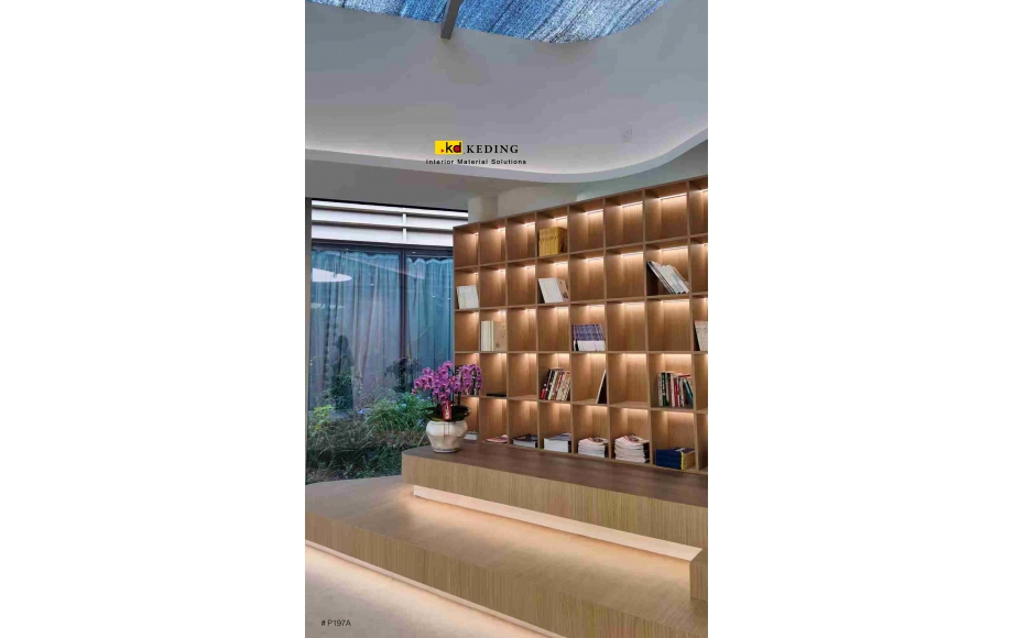 P197A (13)