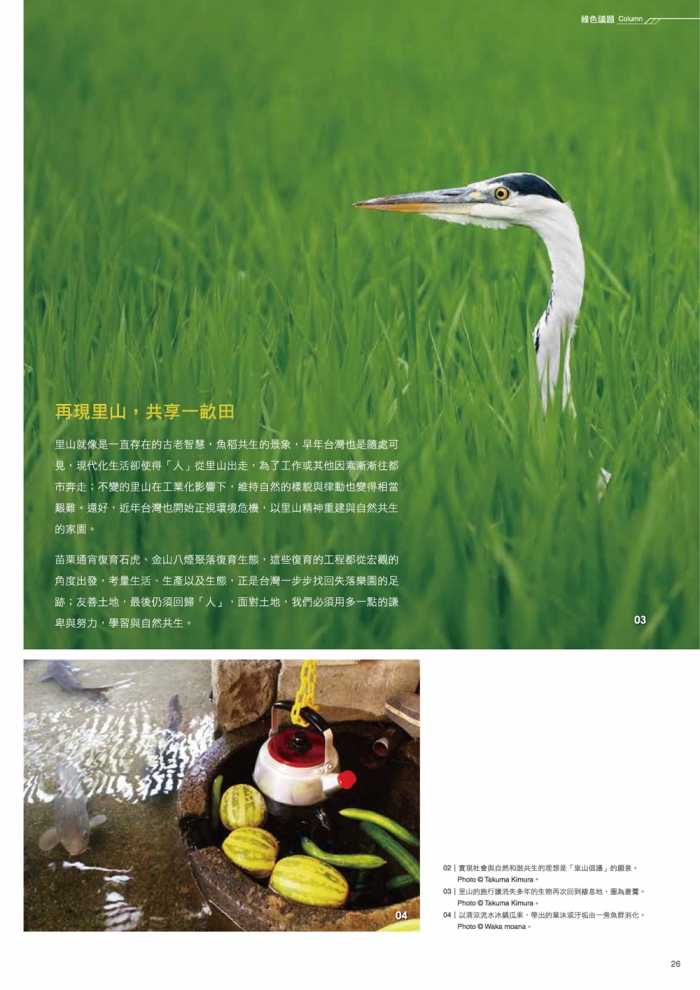 分專刊用_29(画像)