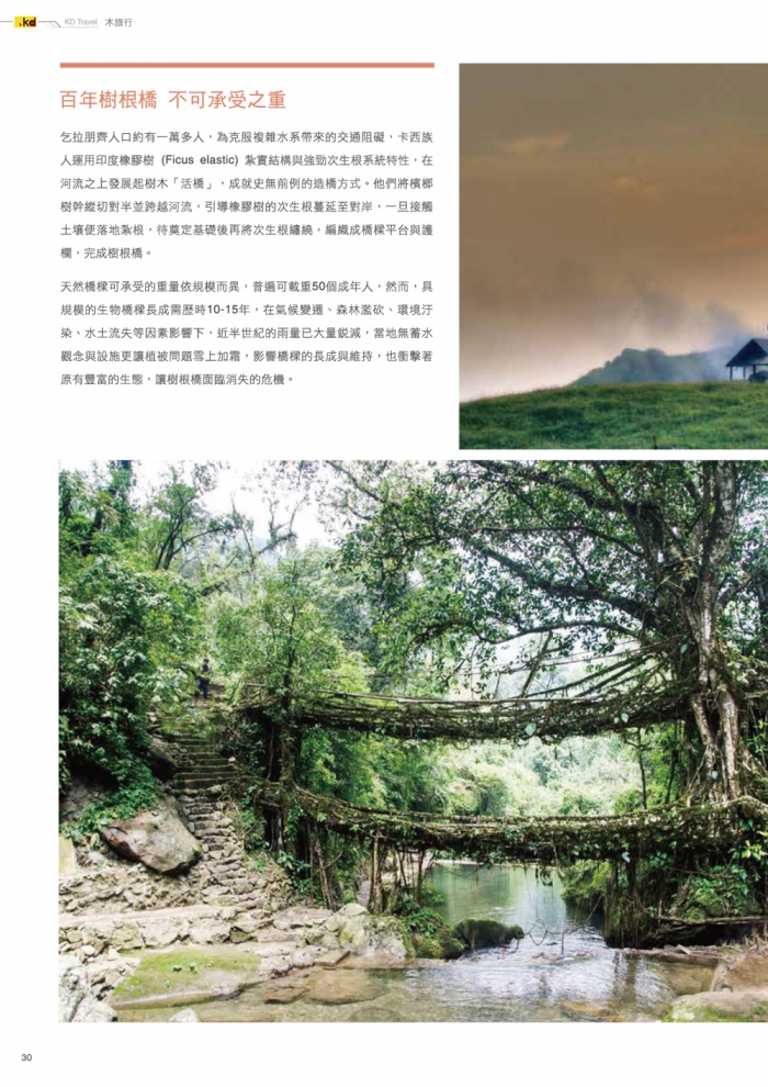 分專刊用_30(画像)