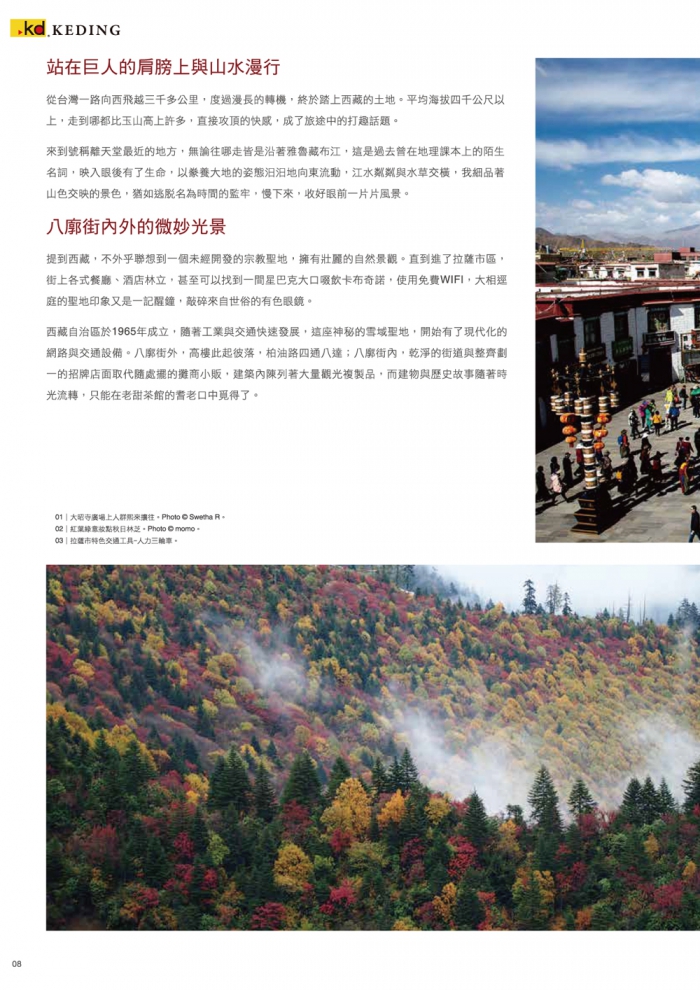 分專刊用_8(画像)
