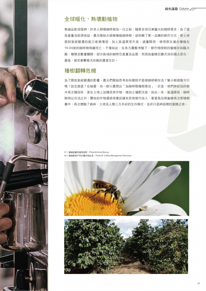 分專刊用_31(画像)