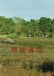 kd x environment Vol 07(單頁)-7(画像)