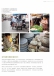 kd x environment Vol 07(單頁)-11(画像)