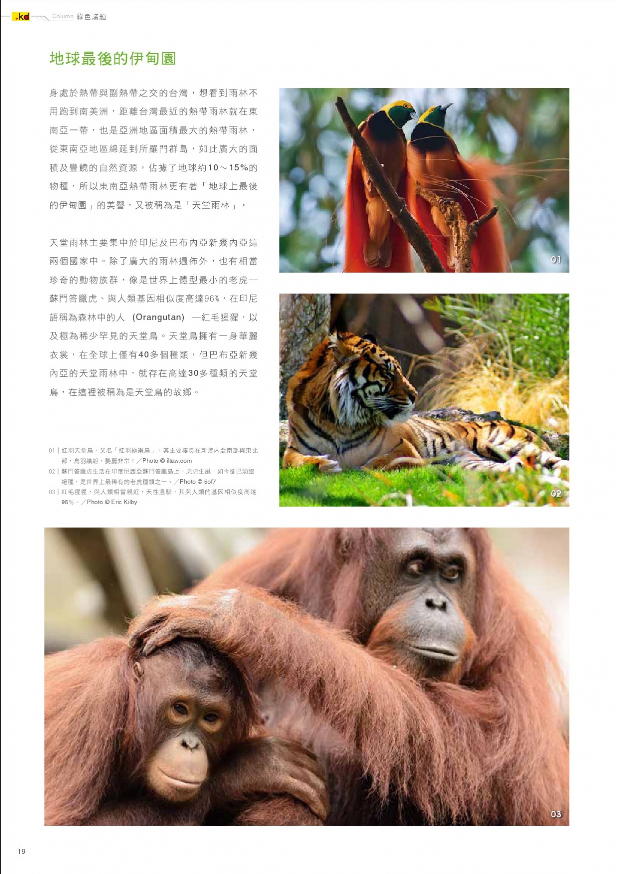kd x environment Vol 03(單頁)-22(Image)
