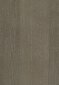 Red Elm(Image)