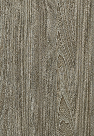 Red Elm(Image)