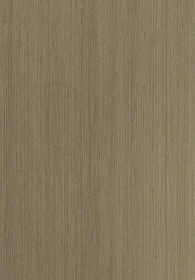 Poplar(Image)