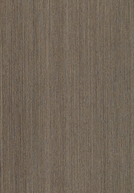 Poplar(Image)