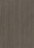白楊木(Image)