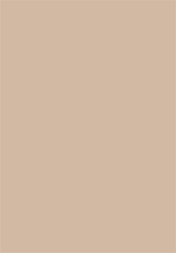 膚感奶茶(圖)