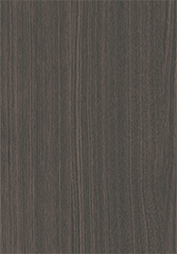 Elm - M.M(Image)