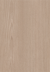 Red Elm - M.M.(Image)