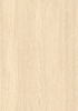 白橡木白毛孔(Image)