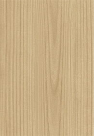 Paulownia - C.C.(Image)