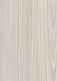 Paulownia - C.C.(Image)