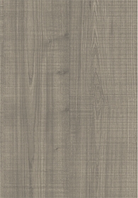 Elm - Knotty R.C.(Image)