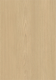 Red Elm - C.C.(Image)