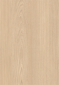 Red Elm - C.C.(Image)