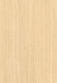 Cypress(Image)