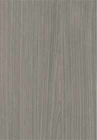 Ash(Image)