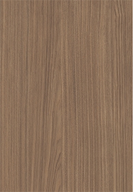 Ash(Image)