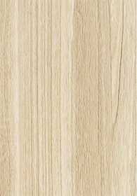 Paulownia(Image)