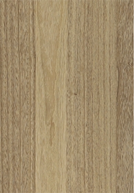 Paulownia(Image)