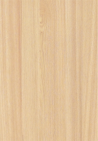 Elm(Image)