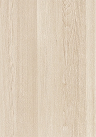 Elm(Image)