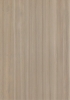 貝殼杉3D自然拼(Image)