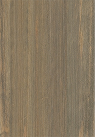 Cypress(Image)