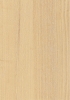 Ash(Image)