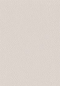 Pebbled Leather Buttercream(Image)