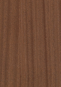 Sapele(Image)