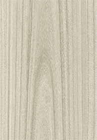 Paulownia - C.C.(Image)