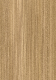 유칼립투스(Image)