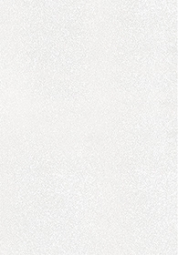 雪白波麗(圖)