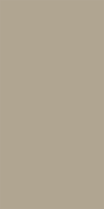 Silky Matte
Champaigne(Image)