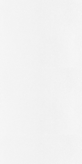 雪白珍珠紋(圖)