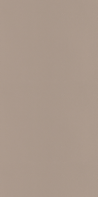 Pearl Leather
Taupe Gray(Image)